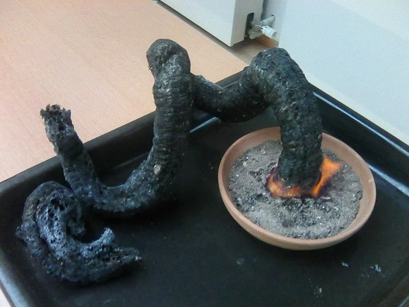 Chemický pokus faraonovy hadi.