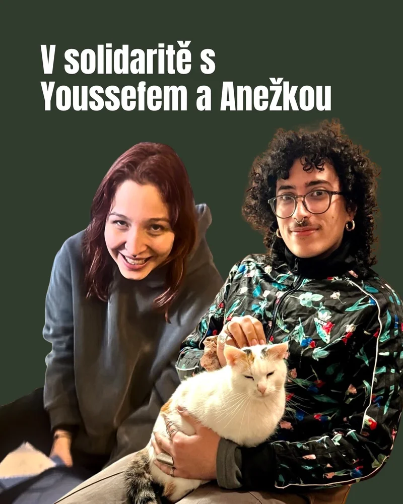 Propalestinská skupina považuje žháře z Pardubic za politické vězně.