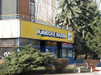 Litvínovský bazén z 50. let.