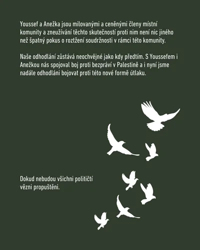 Prohlášení Prague4PalestineYouth.