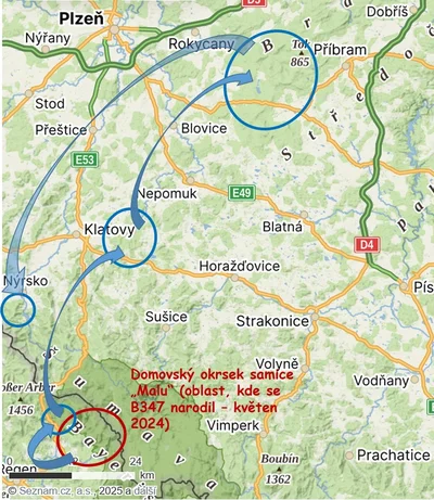 Migrační trasa rysa. 