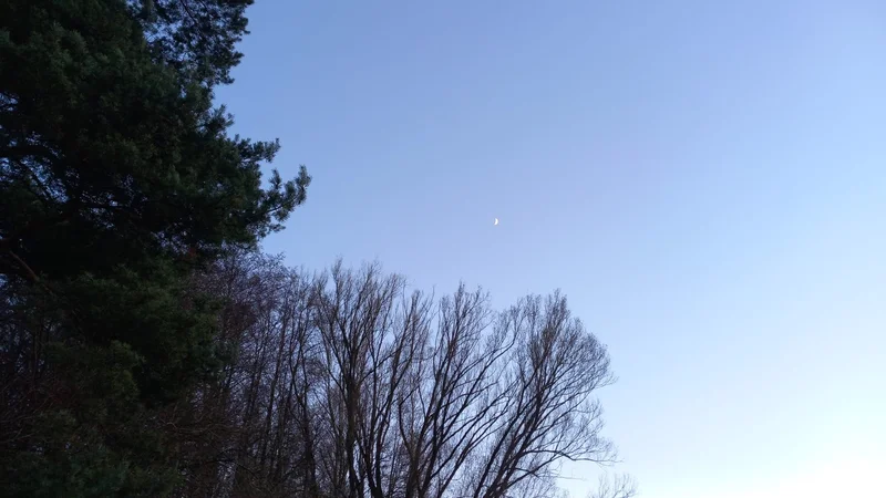 Jaro bude následující týden takřka na dosah.