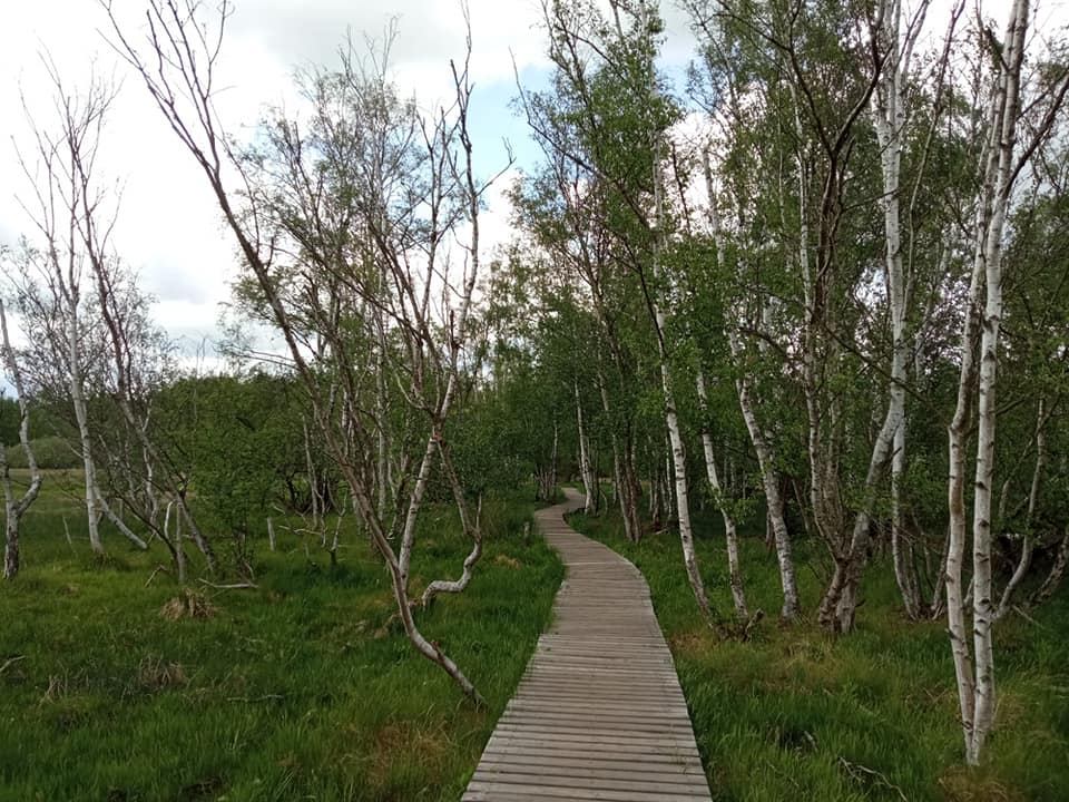 Naučná stezka skrze rezervaci SOOS