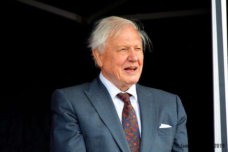 Davida Attenborough.