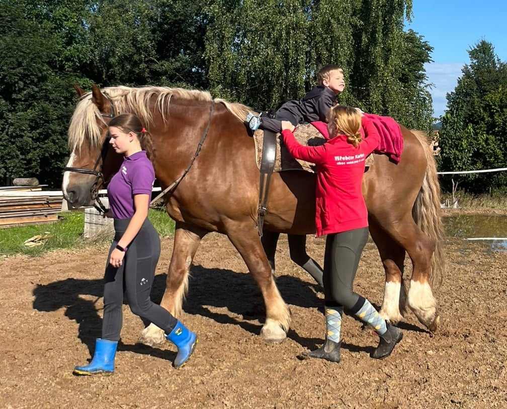 Hiporehabilitace v hřebčíně u Dlouhé Třebové.