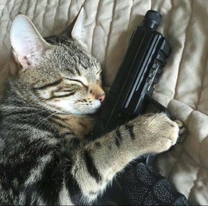 Aktuálně ze Springfieldu.