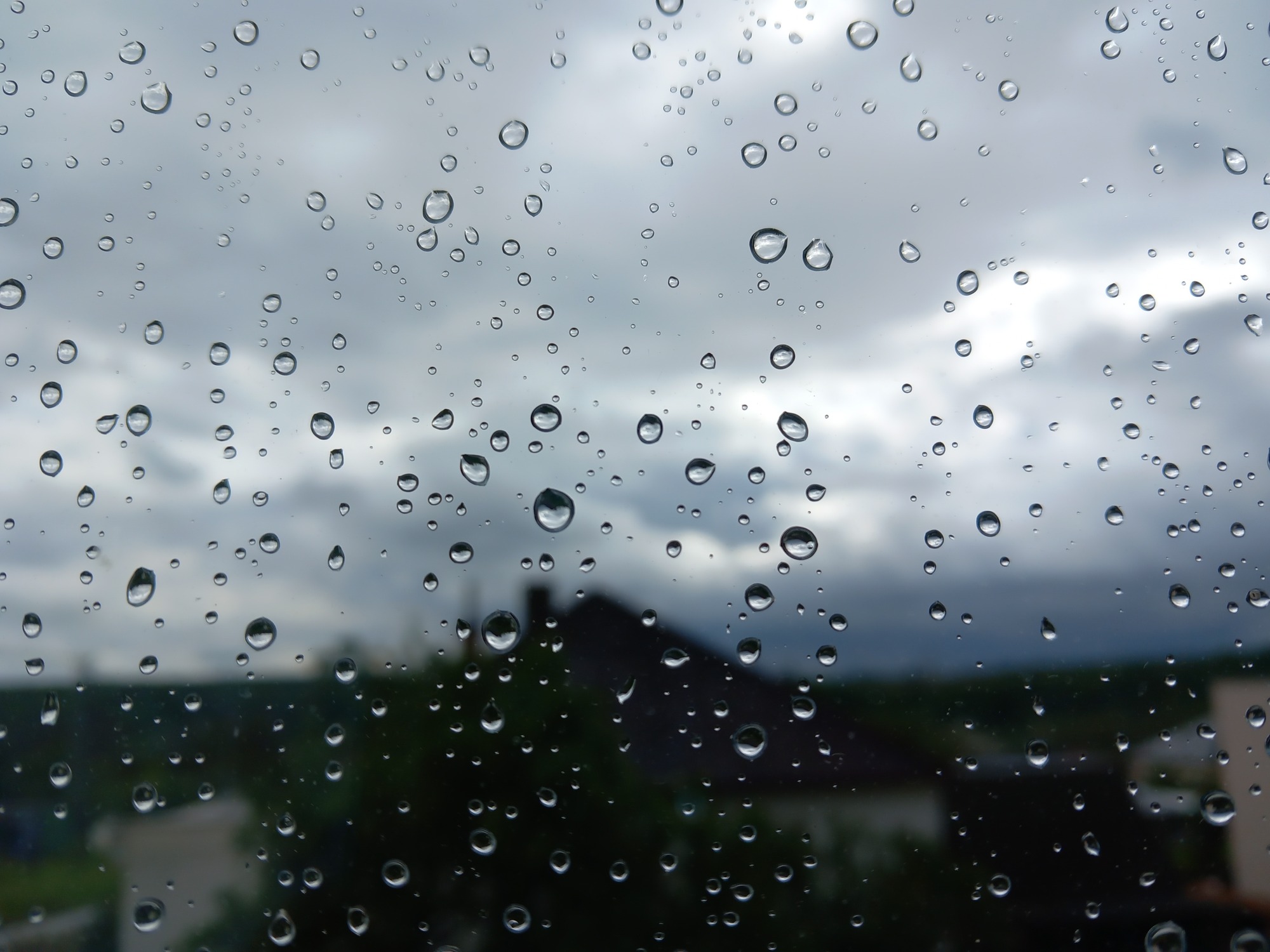 Déšť s sebou přinese dnes večer a během zítřka i bouřky.