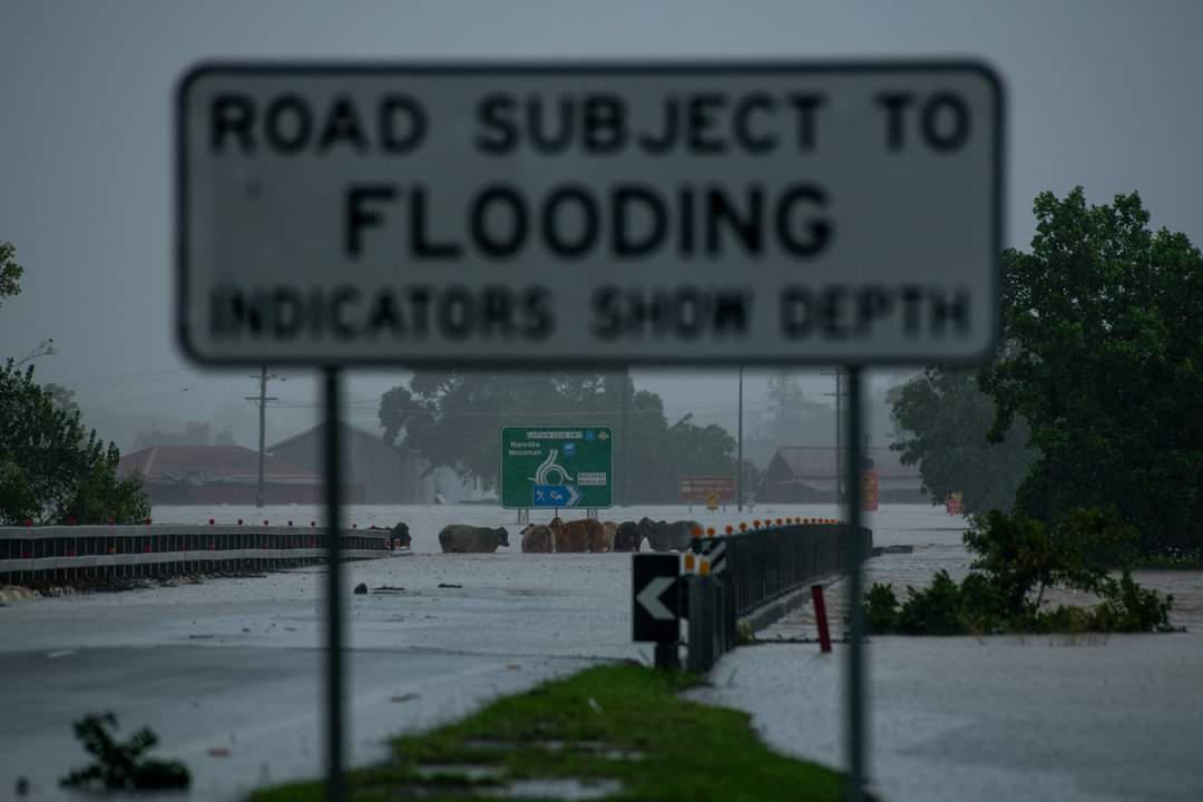 Ulice měst australského severovýchodu jsou v těchto dnech pod vodou.