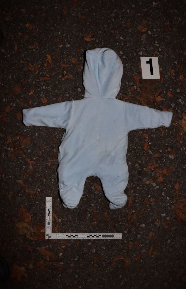 Policie se případem zabývá.