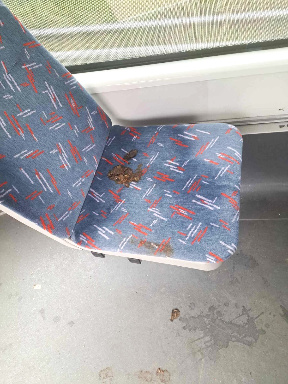 Exkrementy nebo pomočená sedačka – v Brně nic neobvyklého.