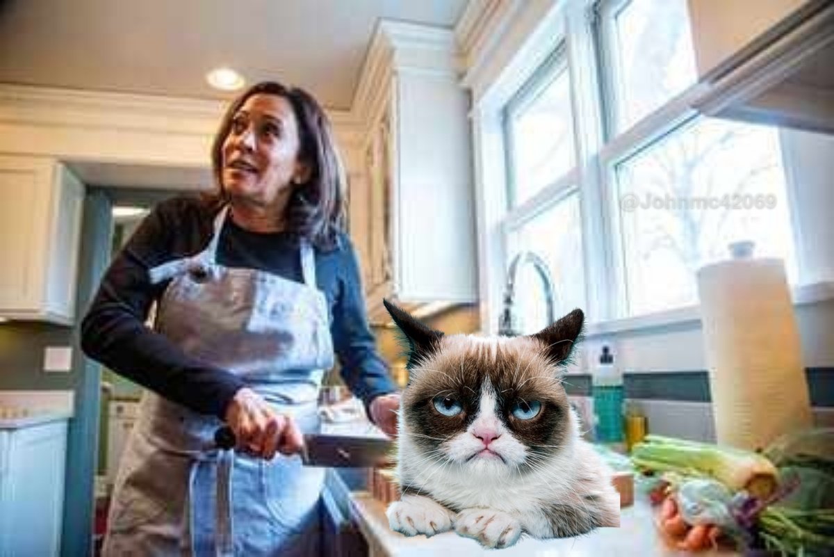 Část příspěvků přímo útočí na prezidentskou kandidátku Kamalu Harris.