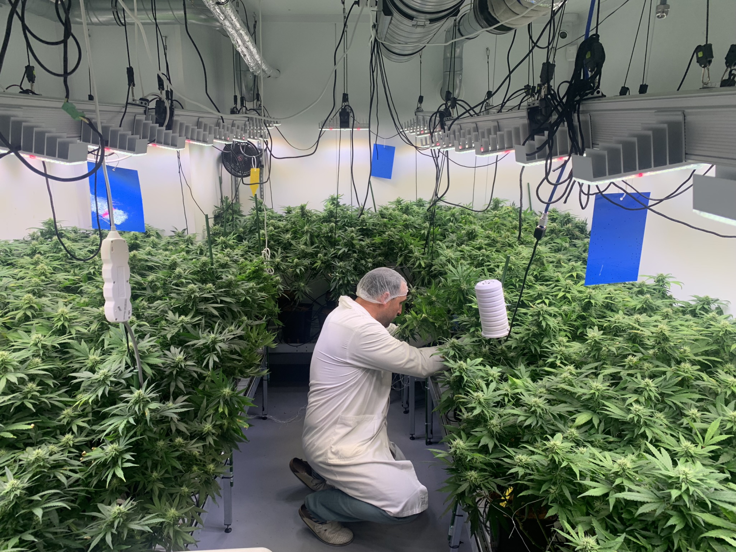 Pěstírna nemocnice U svaté Anny.