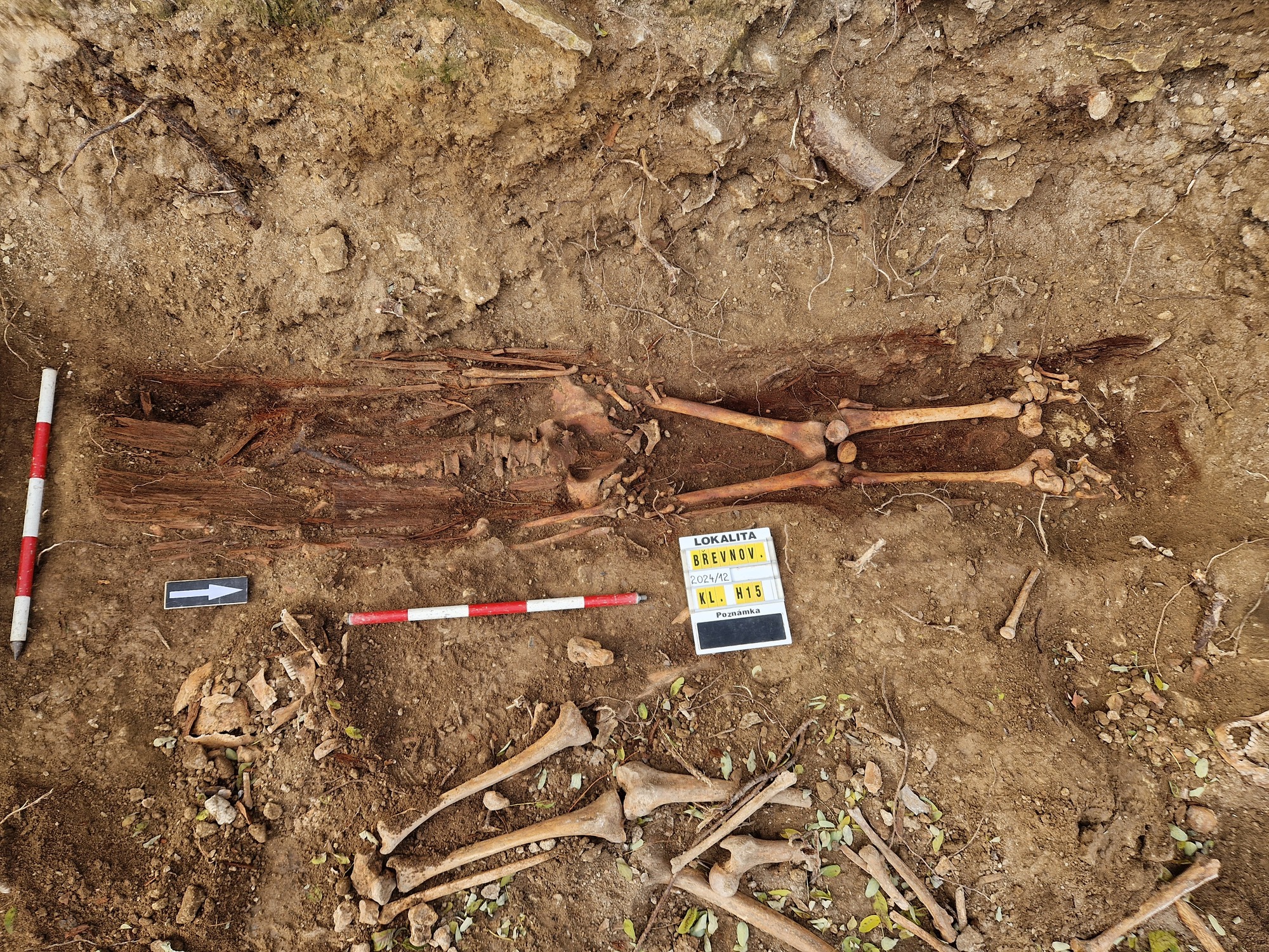 Břevnovský klášter, hrob číslo 15, jeden z mála jedinců uložených do rakve