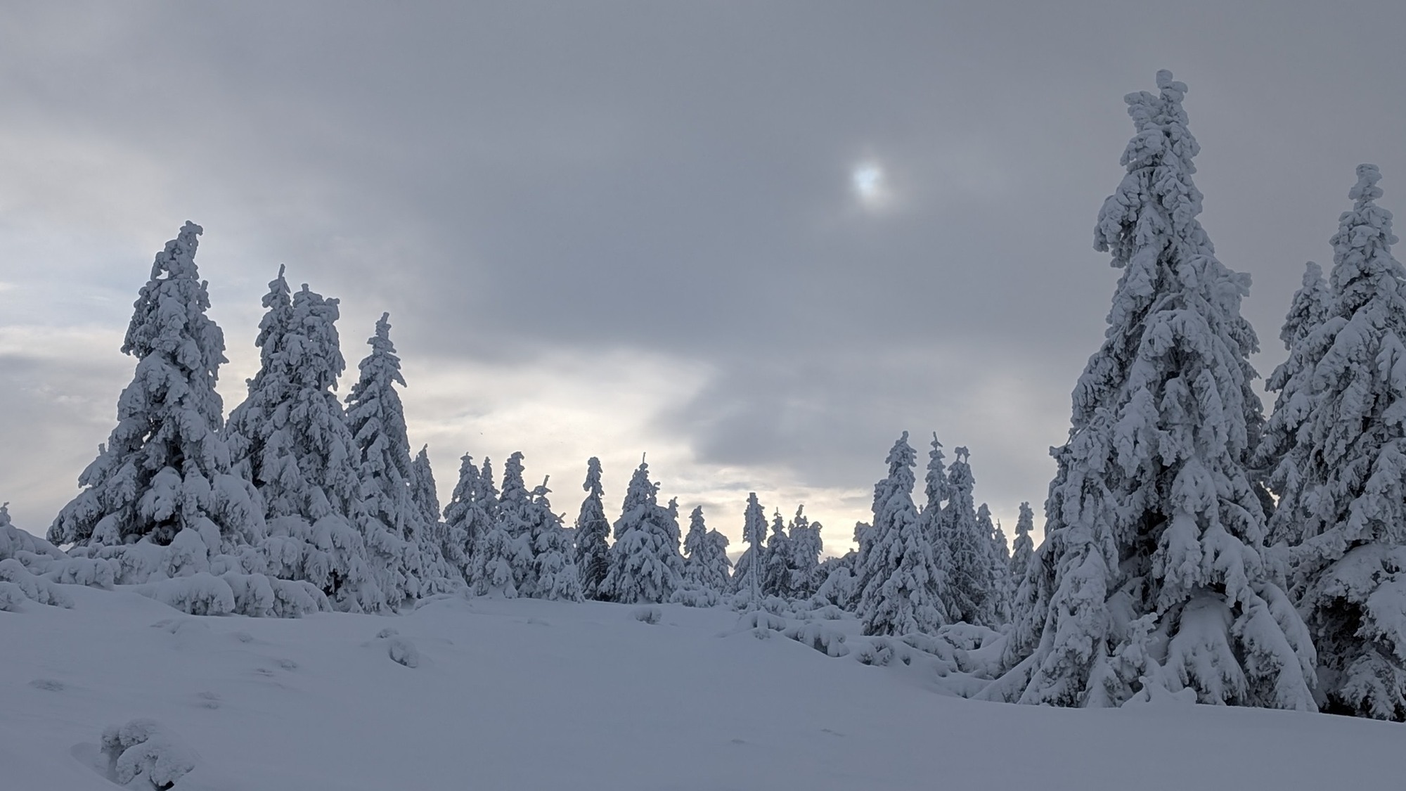Jizerské hory a Krkonoše očekávají zhruba půl metru sněhu.
