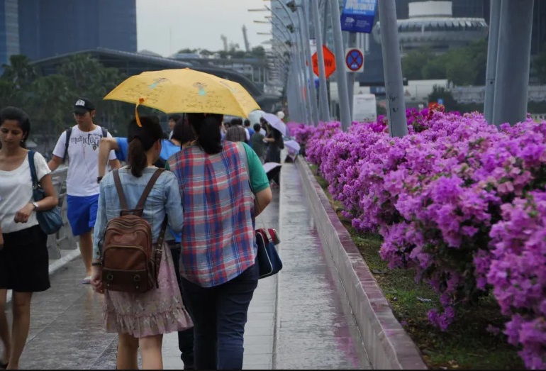 V Singapuru proprší 171 dní v roce.