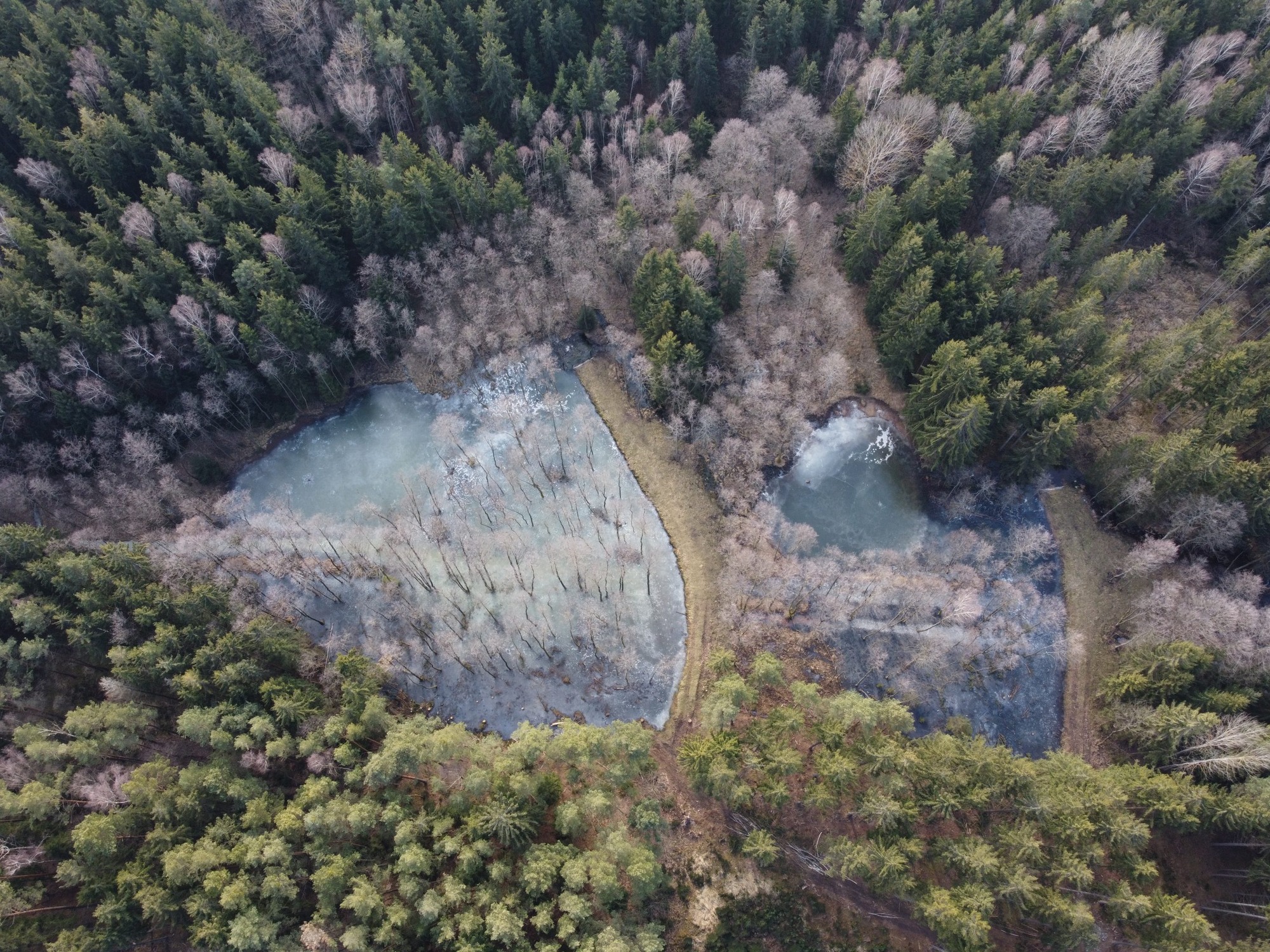 Práce na vodních tocích nikdy nekončí. Pravidelnou údržbou správci připravují přírodu na klimatickou změnu.
