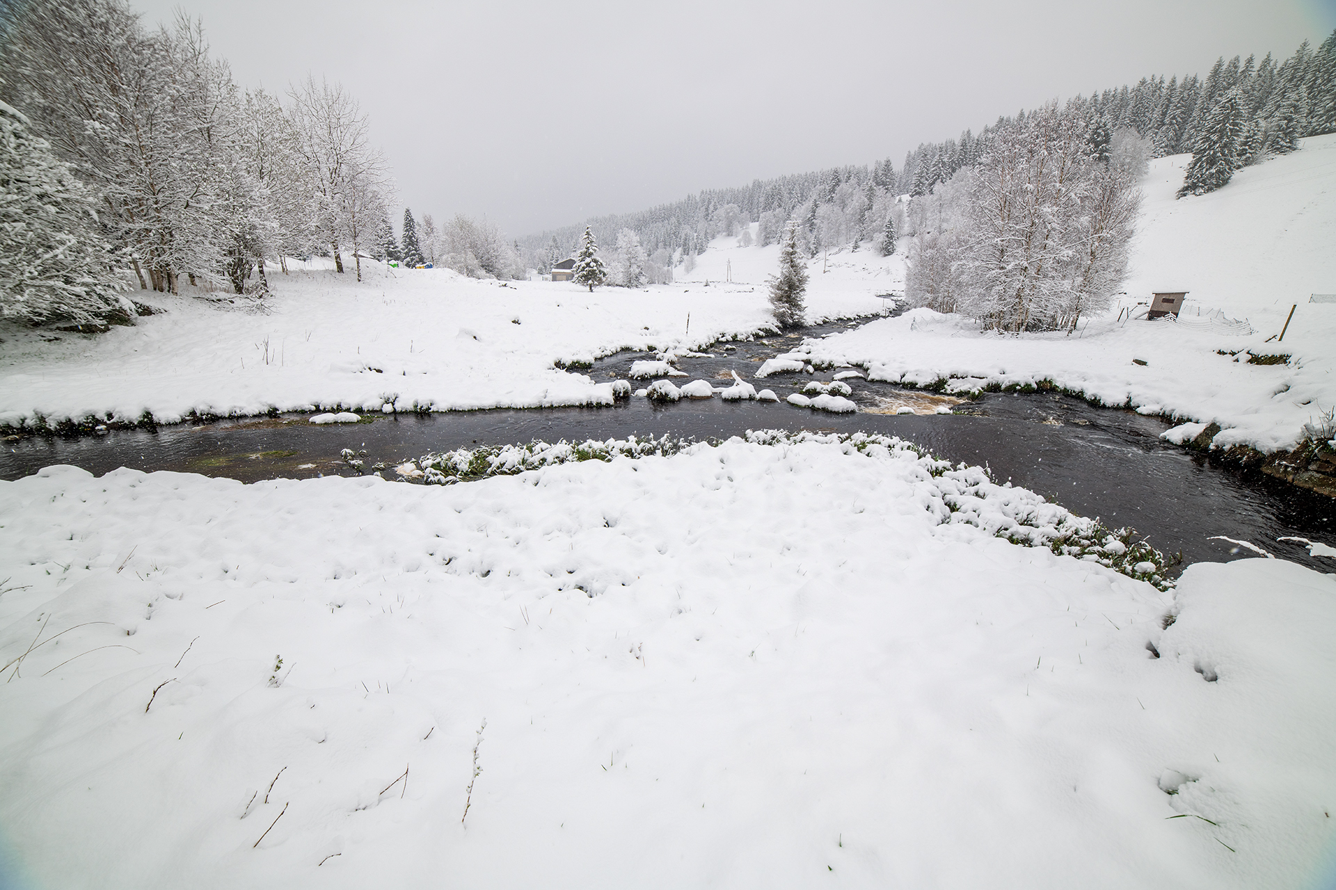 Jarní přírodu na Kvildě znovu zasypal sníh.