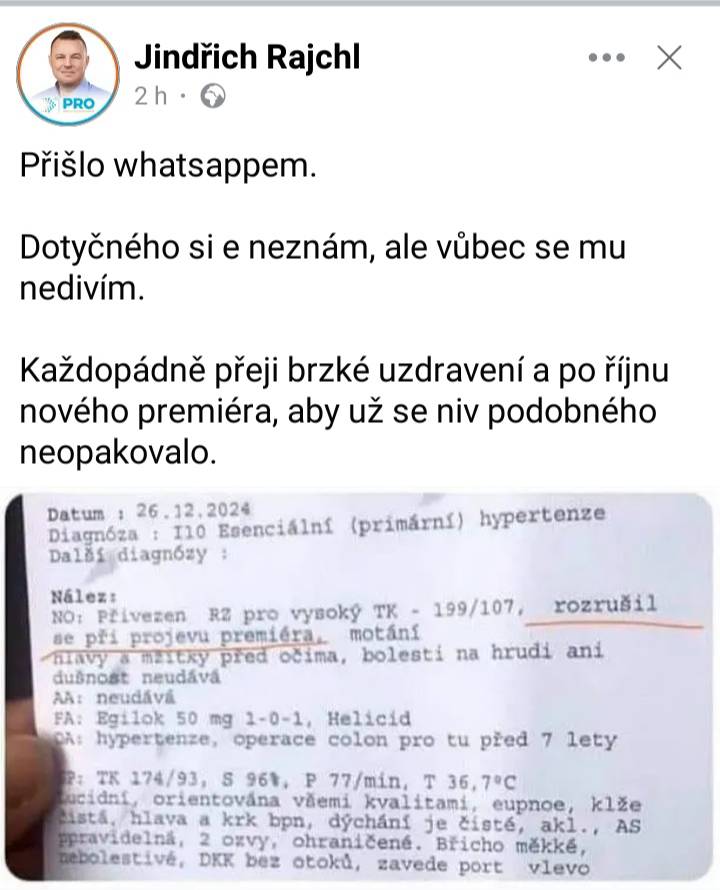 Rajchlův příspěvek.