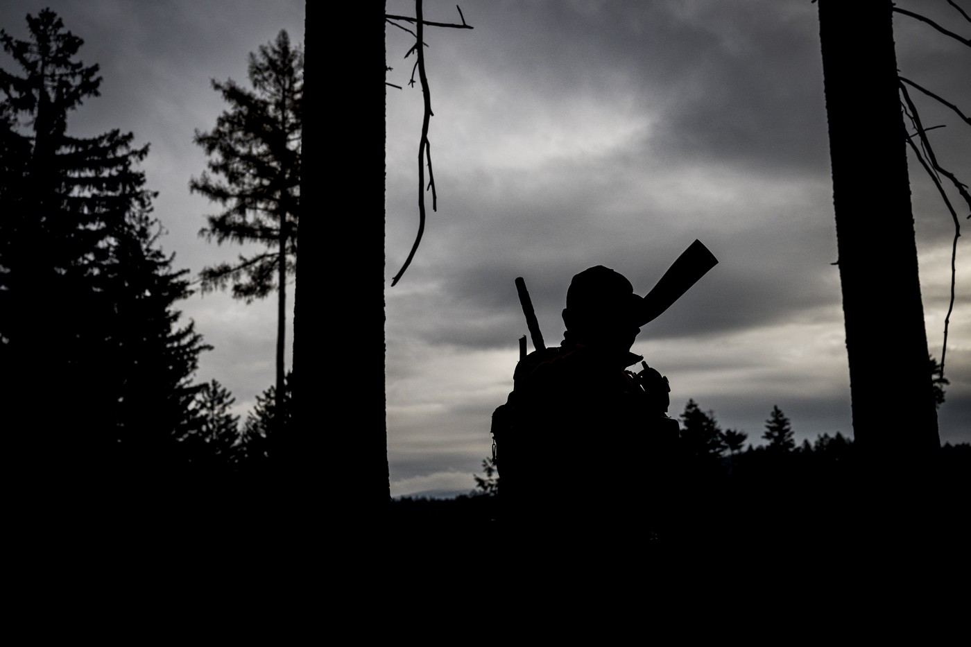 Odlov nemocných prasat na Liberecku provázejí rozpaky.