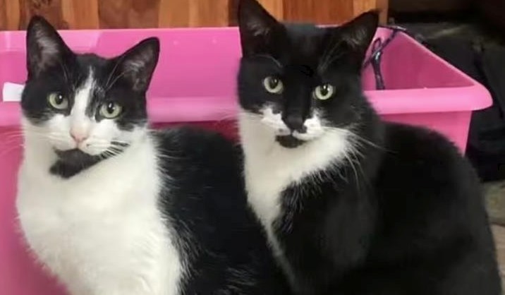 Ilustrační fotografie.