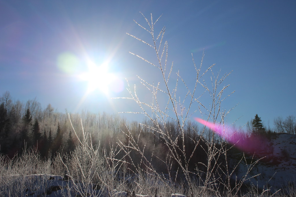 Dnešní ráno ještě připomínalo končící zimu.