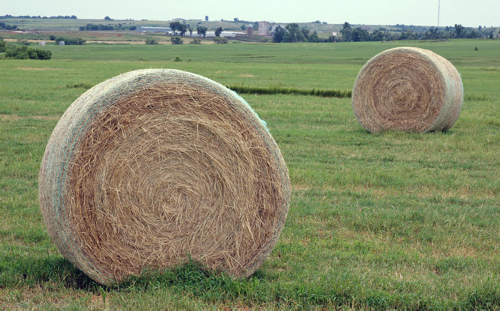 Ilustrační fotografie.