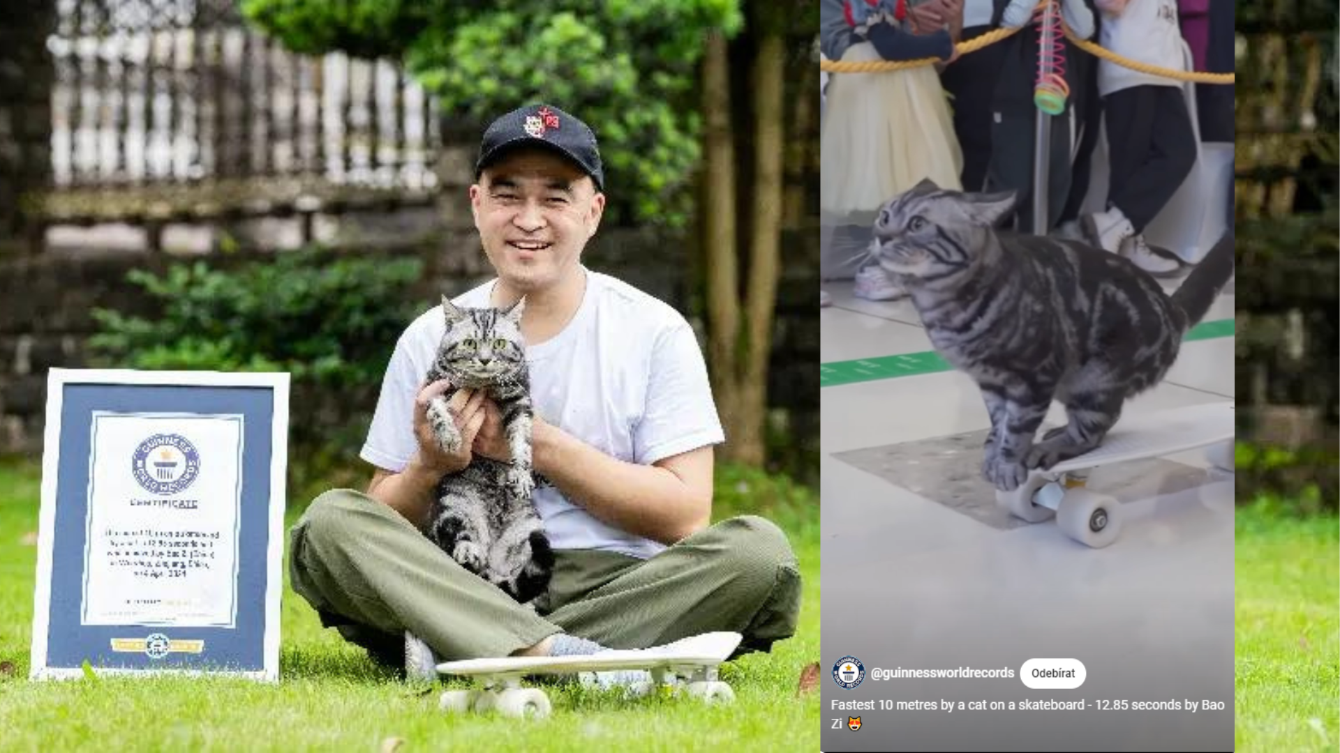 Li Jiangtao se svou kočkou skejťačkou Bao Zi.