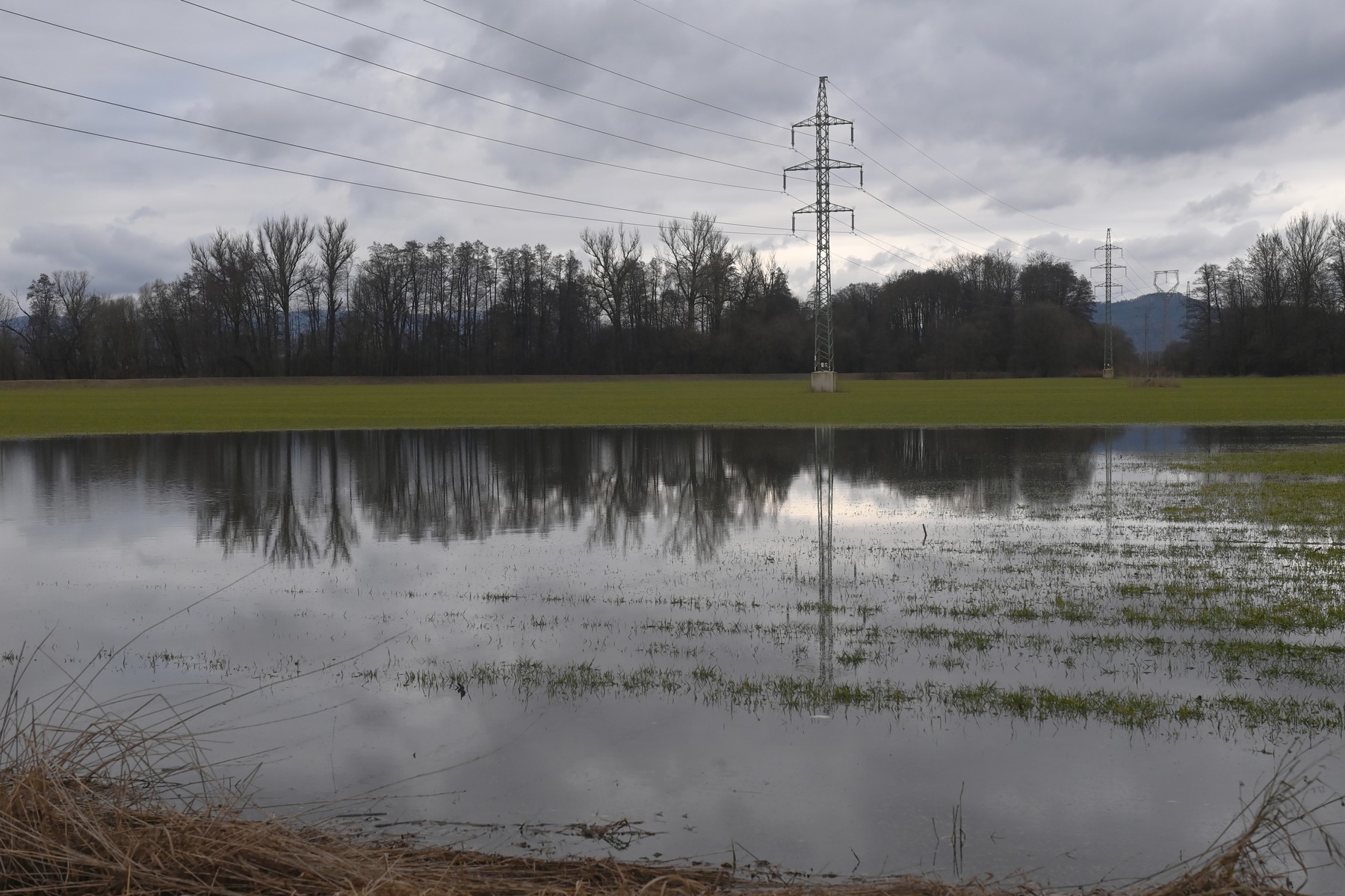 Ilustrační foto. Rozvodněná Morava z 12. února 2024.