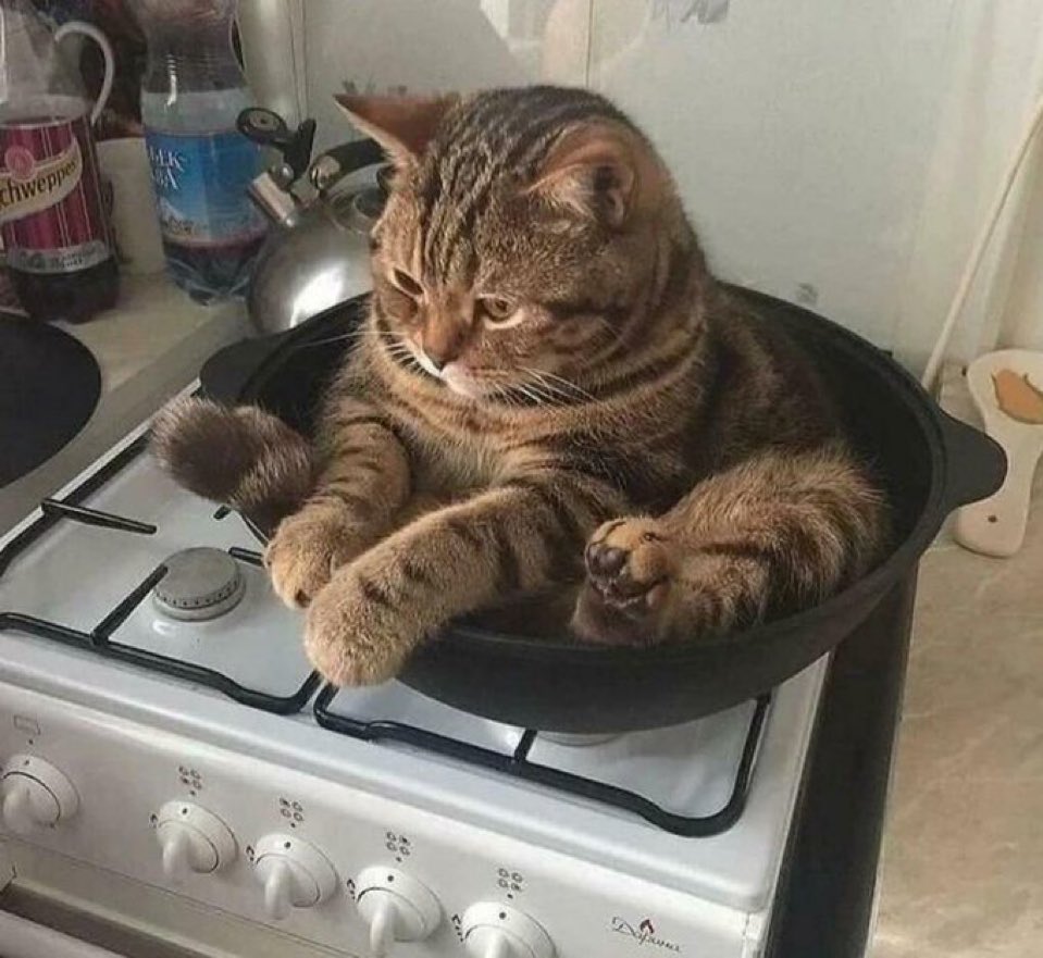 Další aktuální fotka ze Springfieldu.