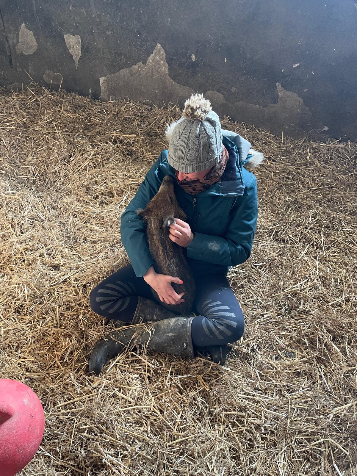 Rillett byla od téměř samého začátku velmi přítulná.