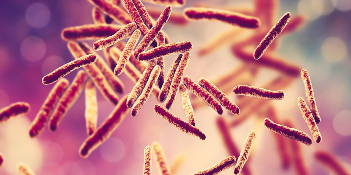 Bakterie tuberkulózy
